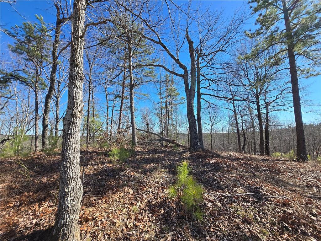 Brushy Mountain Road, Rockmart, Georgia image 10