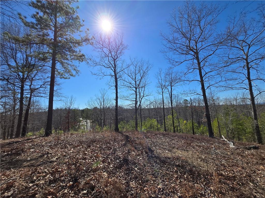 Brushy Mountain Road, Rockmart, Georgia image 11