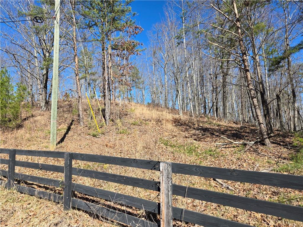 Brushy Mountain Road, Rockmart, Georgia image 3