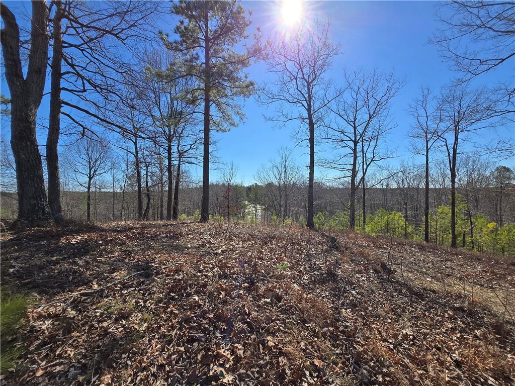 Brushy Mountain Road, Rockmart, Georgia image 1