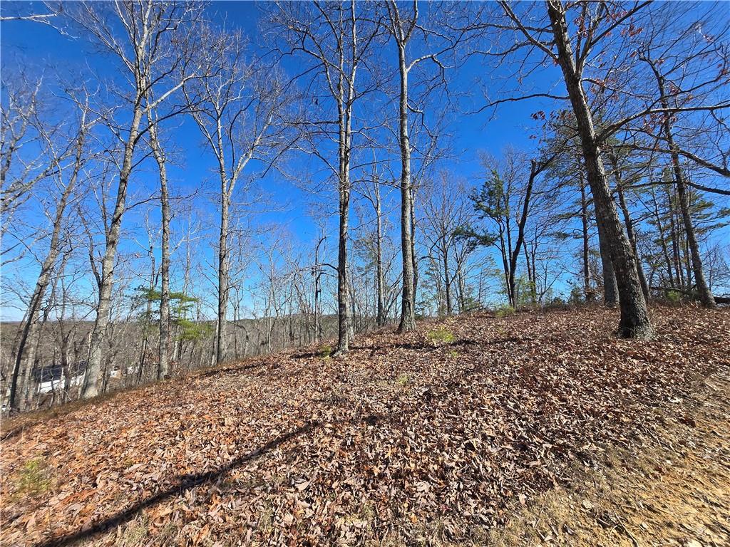 Brushy Mountain Road, Rockmart, Georgia image 8