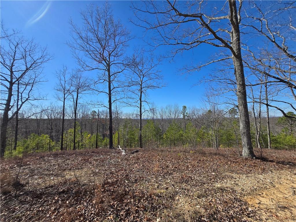 Brushy Mountain Road, Rockmart, Georgia image 12