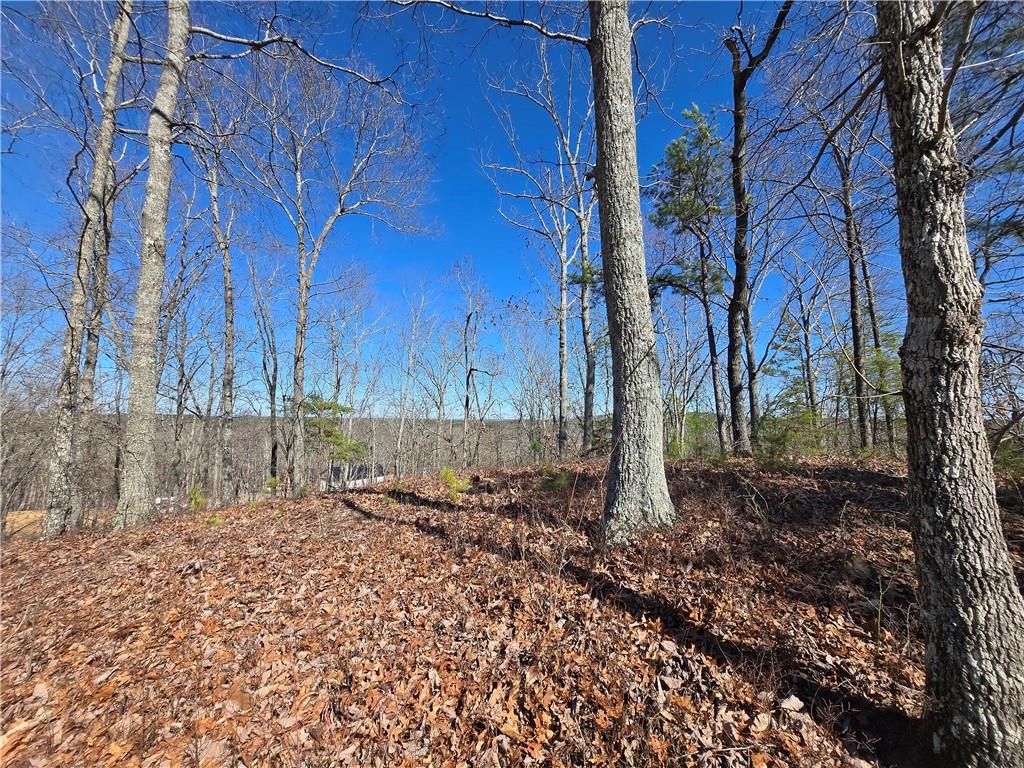 Brushy Mountain Road, Rockmart, Georgia image 9