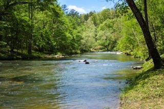 101 Creekside Cabin Trail