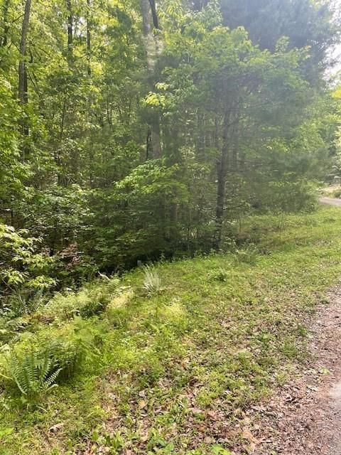 Vacant Land For Sale - Mccormick Drive<br/> Dawsonville, GA 30534