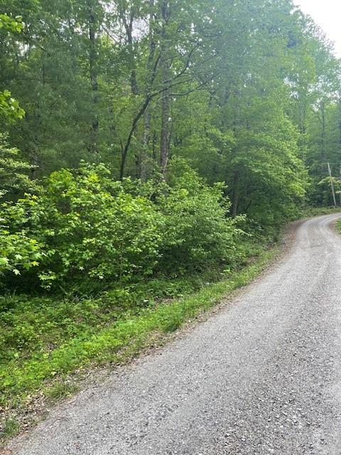 Mccormick Drive, Dawsonville, Georgia image 4