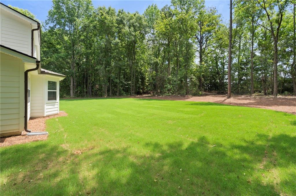 3729 Meadow Glen Circle, Ellenwood, Georgia image 47