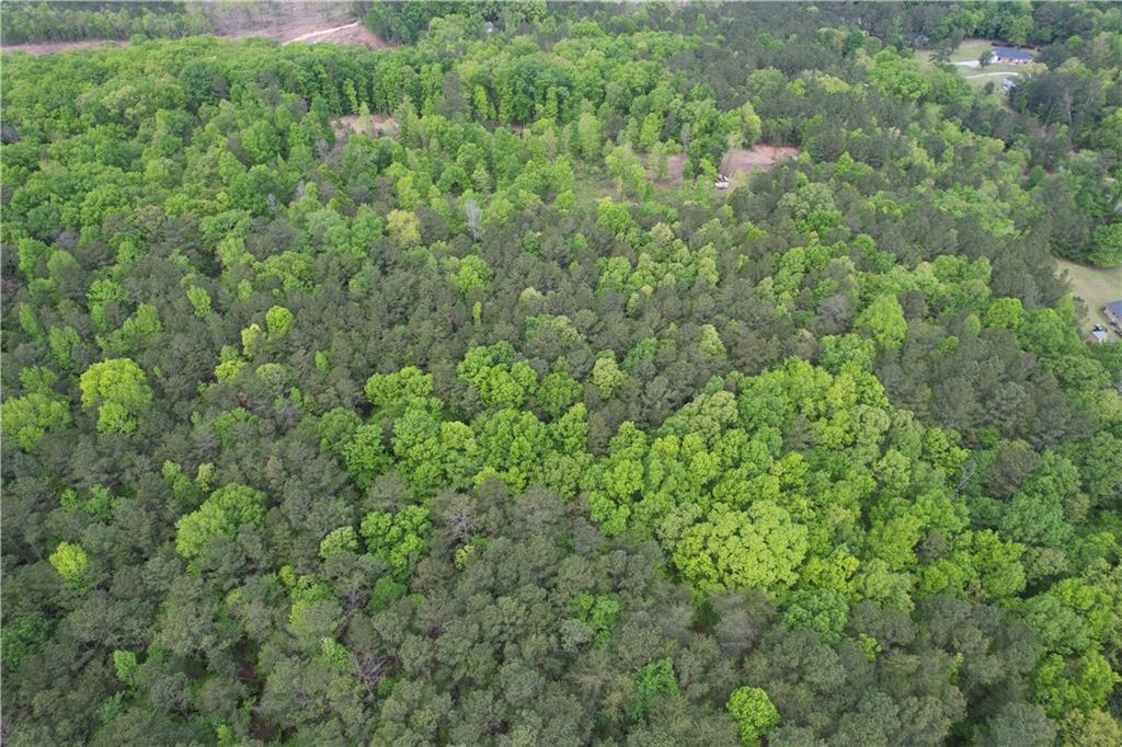 Old Collard Valley Road, Cedartown, Georgia image 3