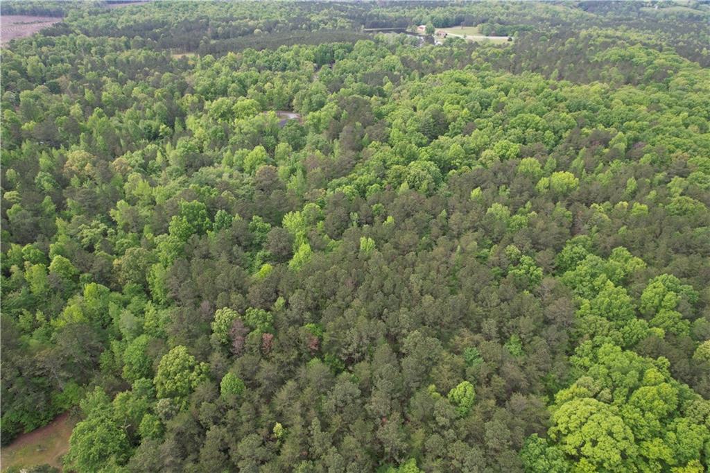 Old Collard Valley Road, Cedartown, Georgia image 1