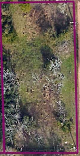 Vacant Land For Sale - 1811 Lincoln Avenue<br/> Dougherty County, Albany, GA 31707