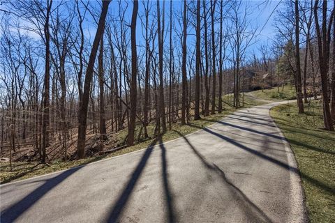 253 Windflower Drive Big Canoe GA 30143