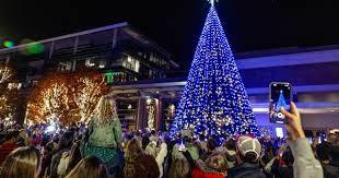 LAKEVIEW AT DUNWOODY SPRINGS - Residential