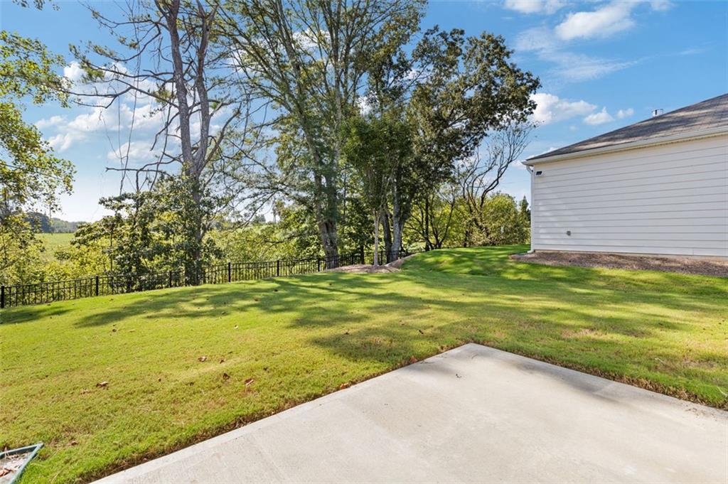 704 Chipping Sparrow Street, Canton, Georgia image 41