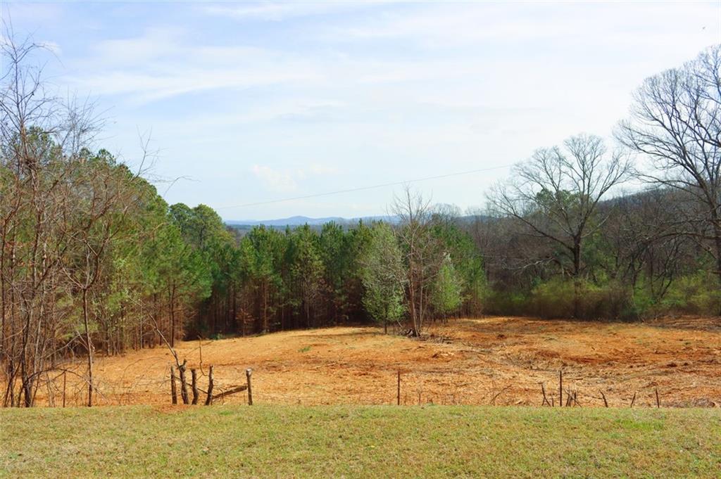 136 Tower Drive, Cartersville, Georgia image 29