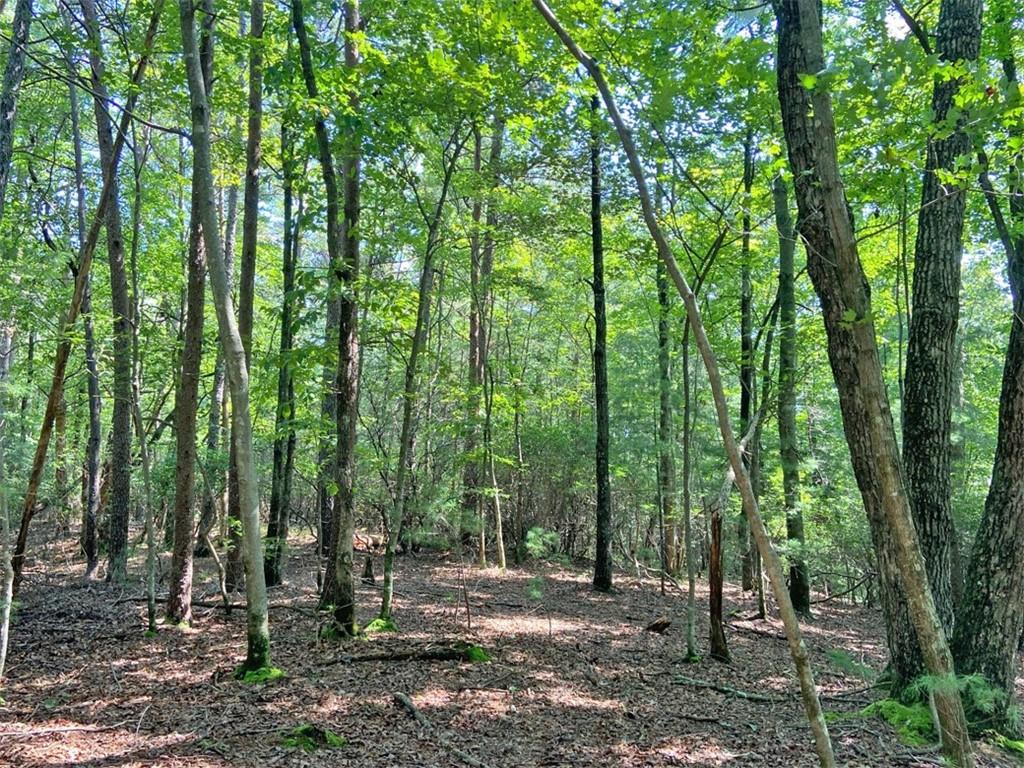 10.59 AC, T S Jarrard Road