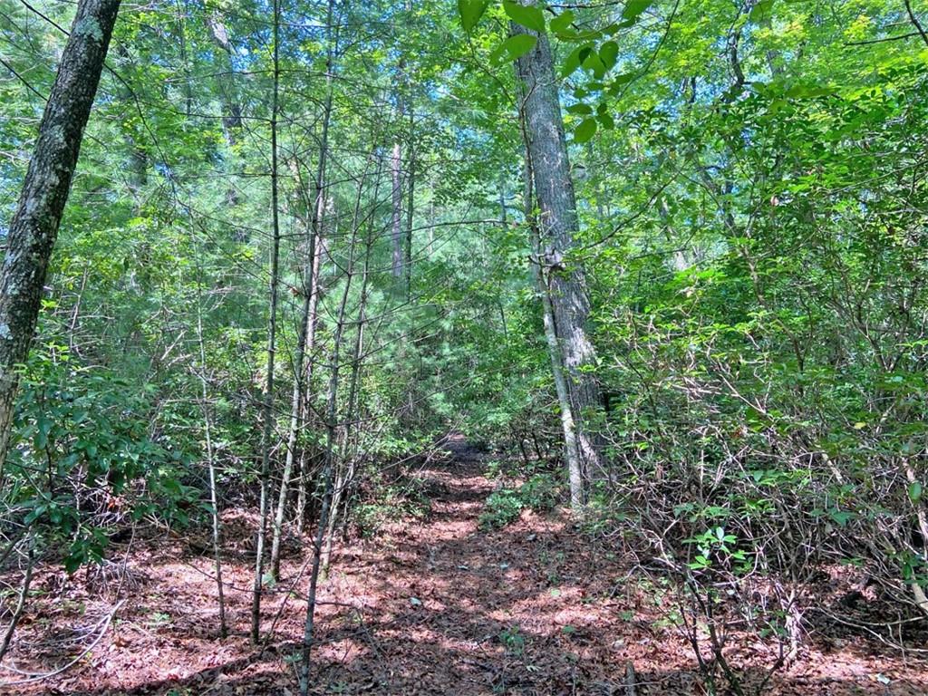10.59 AC, T S Jarrard Road