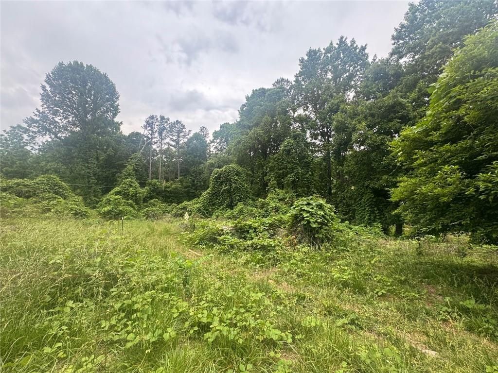 Photo of 1460 Sam Nelson Road, Canton, GA 30114 (MLS # 7786333)