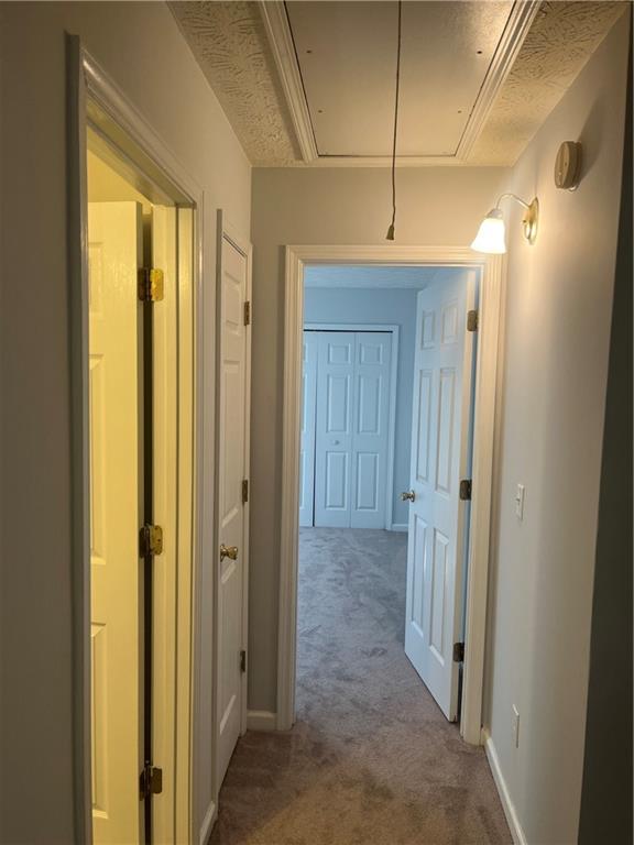8236 Eastshore Drive, Union City, Georgia image 18