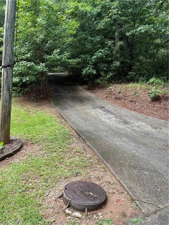 31 Weaver Street, Buchanan, GA, 30113