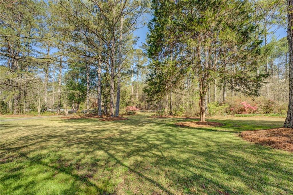 460 Haynes Creek Circle Cir, Oxford, Georgia image 46