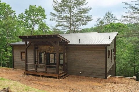 A home in Mineral Bluff