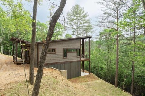 A home in Mineral Bluff