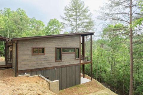 A home in Mineral Bluff