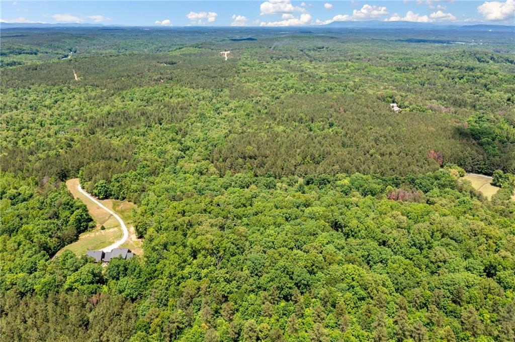 Timberwood Road, White, Georgia image 12