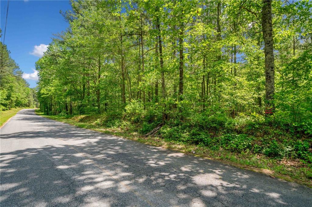 Timberwood Road, White, Georgia image 3