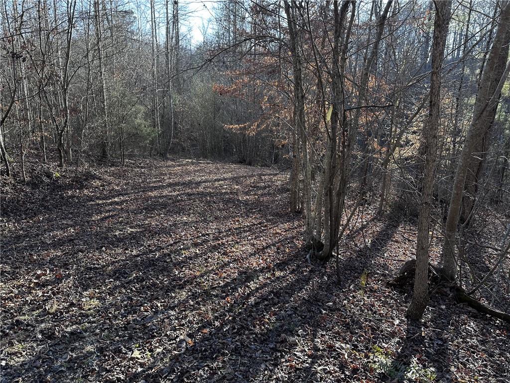 758 Town Creek Church Road, Talking Rock, Georgia image 34