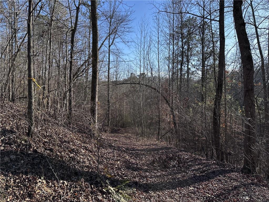 758 Town Creek Church Road, Talking Rock, Georgia image 32
