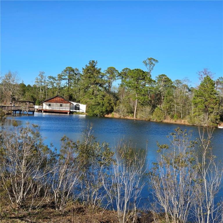 2636 Beechwood Drive, Jesup, Georgia image 25