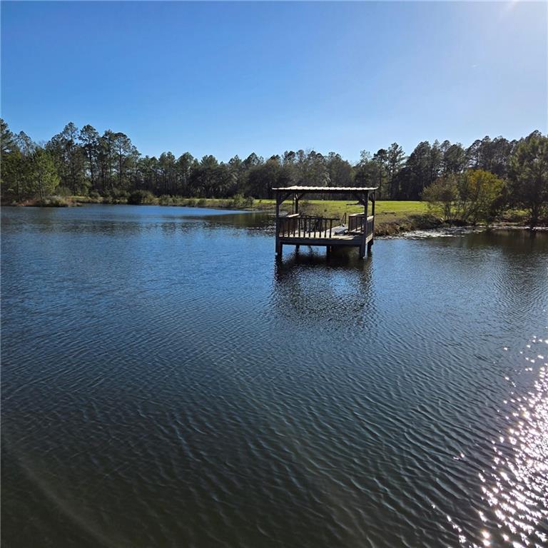 2636 Beechwood Drive, Jesup, Georgia image 21