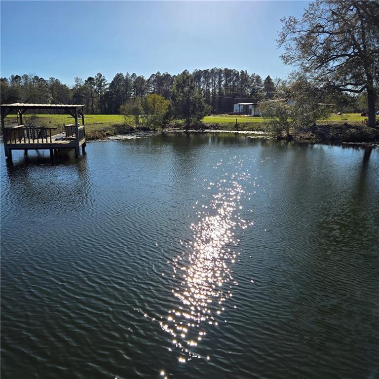 2636 Beechwood Drive, Jesup, Georgia image 20