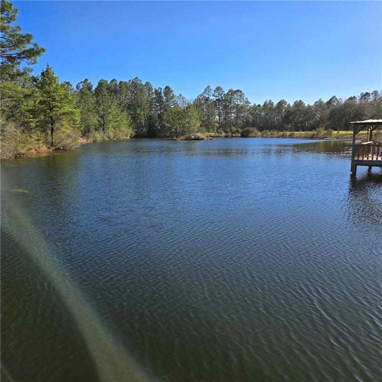 2636 Beechwood Drive, Jesup, Georgia image 22