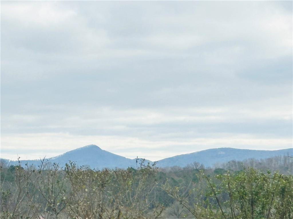 Bryant Road, Ranger, Georgia image 4