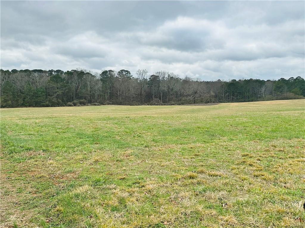 Bryant Road, Ranger, Georgia image 2