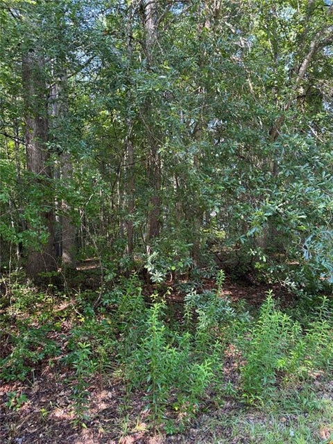 Vacant Land For Sale - 89 Trellis Court<br/> Carroll County, Carrollton, GA 30116