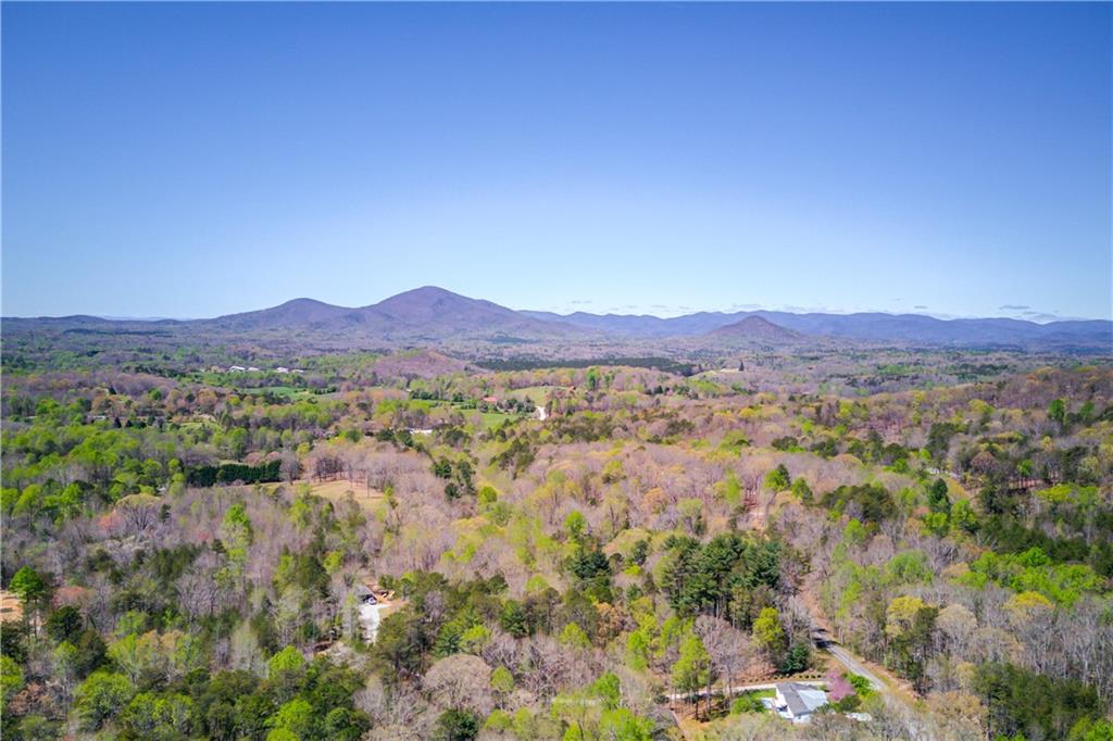 Highway 17 Lot 1, Clarkesville, Georgia image 46