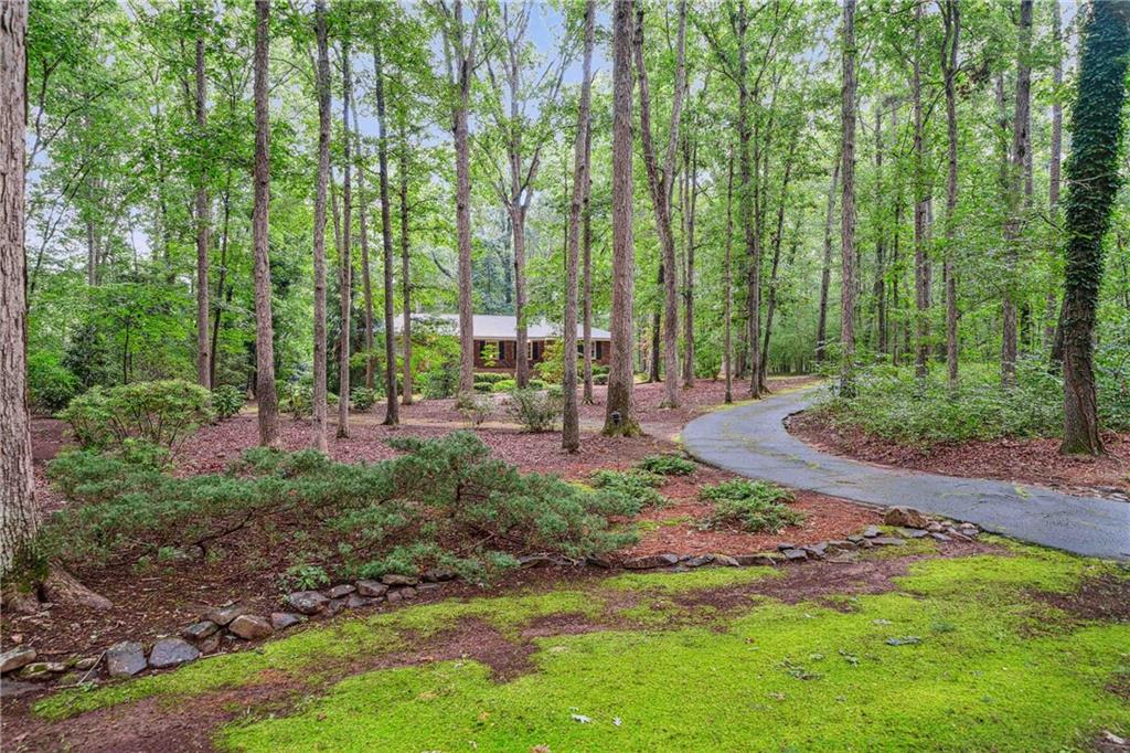 800 Skyline Drive