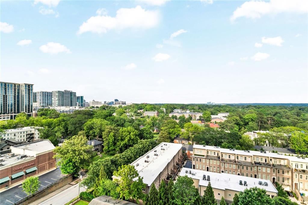 2881 Peachtree Road #1202, Atlanta, Georgia image 23