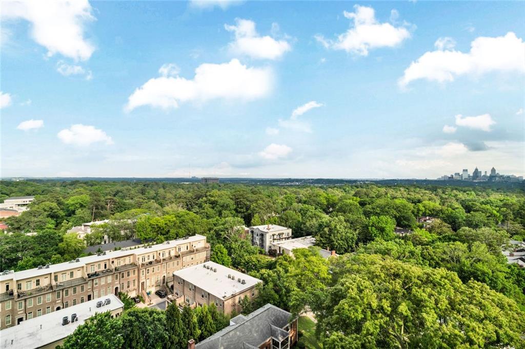 2881 Peachtree Road #1202, Atlanta, Georgia image 22