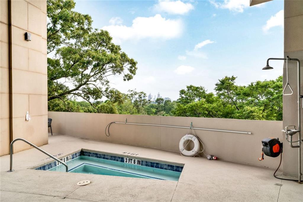 2881 Peachtree Road #1202, Atlanta, Georgia image 47