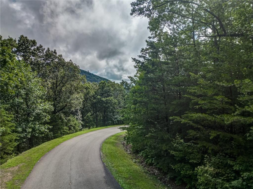 162 Sharp Mountain Parkway, Jasper, Georgia image 2