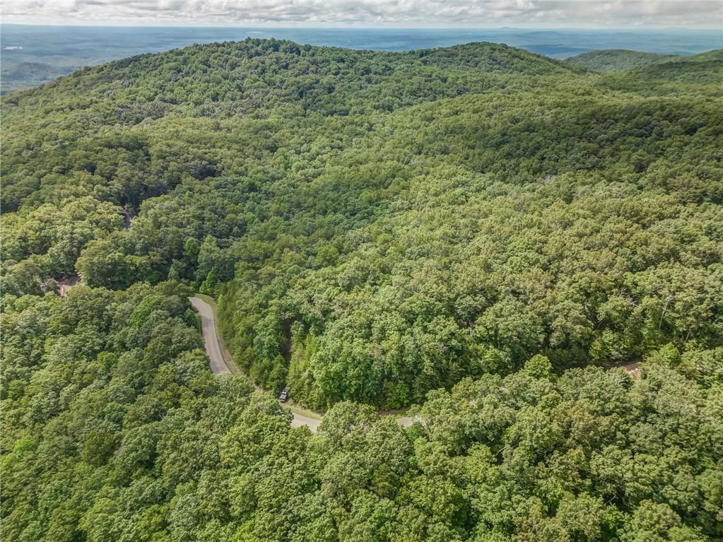 162 Sharp Mountain Parkway, Jasper, Georgia image 4