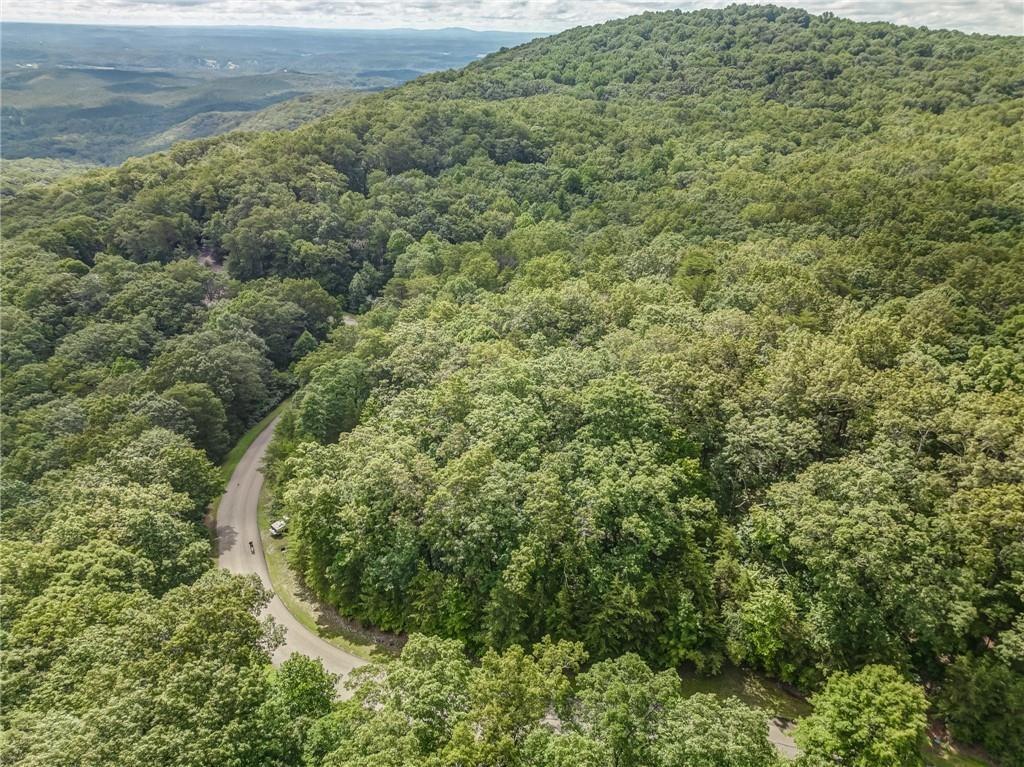 162 Sharp Mountain Parkway, Jasper, Georgia image 3