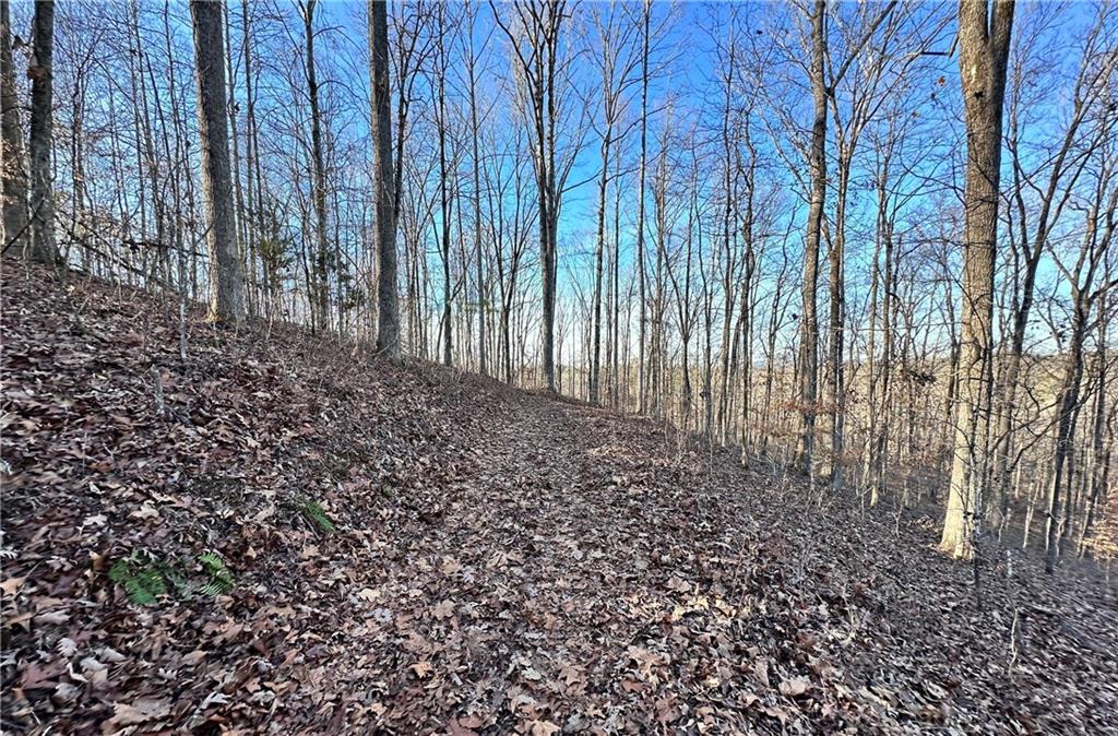 8555 Woodland Brooke Trail