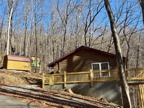 Homes For Sale - 34 Lookout Ridge Road<br/> Cleveland, GA 30528