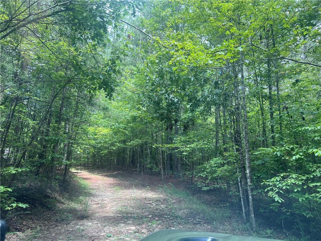 Acreage is perfect for an private estate home, farm or family compound. Land is mostly flat and ready for your vision. Perfect to clear for a pasture, pool, shop or gardens. It offers both seclusion and accessibility — a unique rare find in North Georgia.