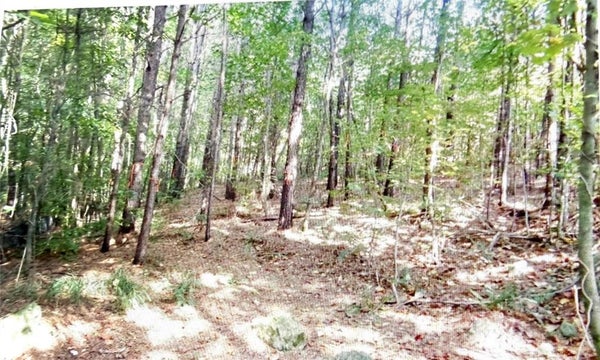101 HOLT DR, ACWORTH, GA 30101 - Image bf37bf95b18c3e08be765ca577bafb9e/1219965110
